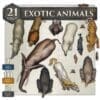 Exotic Animals Digital Download